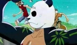 神秘熊猫人爆料视频,揭秘神秘熊猫人爆料视频背后的惊人真相