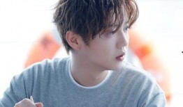 圈内爆料鹿晗肖战,揭秘娱乐圈的神秘恋情与友情