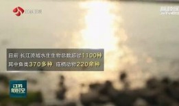 澄澈之水爆料视频大全集